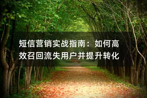 短信营销实战指南:如何高效召回流失用户并提升转化