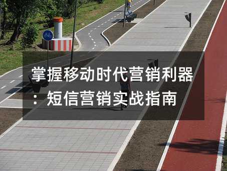 掌握移动时代营销利器:短信营销实战指南
