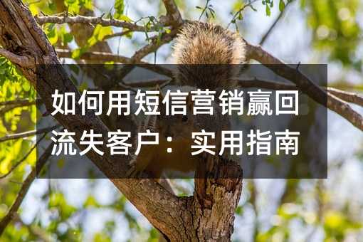 如何用短信营销赢回流失客户:实用指南