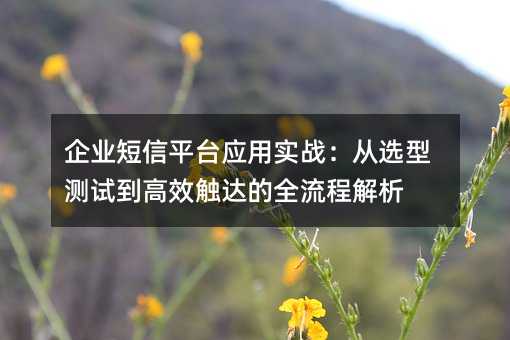 ��ҵ����ƽ̨Ӧ��ʵս����ѡ�Ͳ��Ե���Ч�����ȫ���̽���