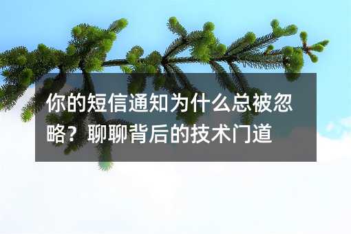 你的短信通知为什么总被忽略?聊聊背后的技术门道