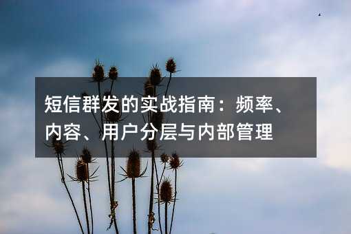 短信群发的实战指南:频率、内容、用户分层与内部管理