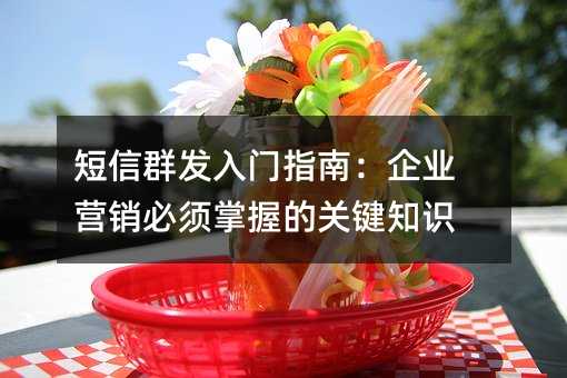 短信群发入门指南:企业营销必须掌握的关键知识