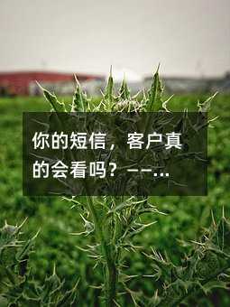 你的短信,客户真的会看吗?——聊聊短信平台那些实用门道