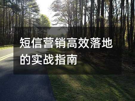 短信营销高效落地的实战指南