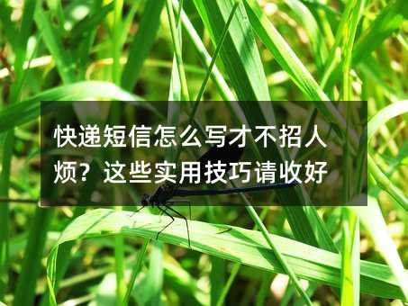快递短信怎么写才不招人烦?这些实用技巧请收好