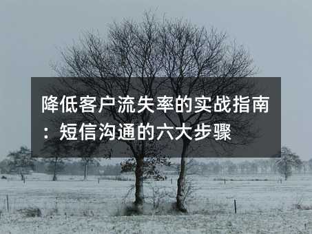 降低客户流失率的实战指南:短信沟通的六大步骤