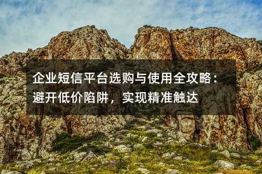 企业短信平台选购与使用全攻略:避开低价陷阱,实现精准触达