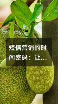 短信营销的时间密码:让每一条消息都发在用户心坎上