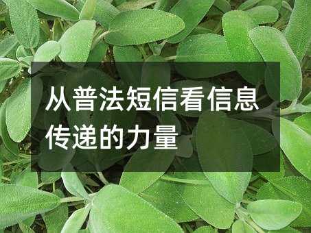 从普法短信看信息传递的力量