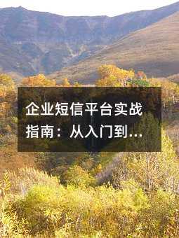��ҵ����ƽ̨ʵսָ�ϣ������ŵ���ͨ