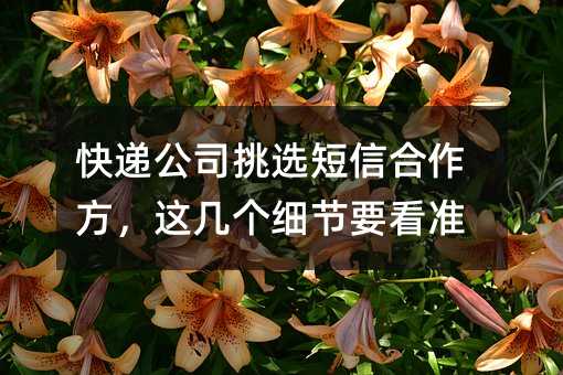快递公司挑选短信合作方,这几个细节要看准