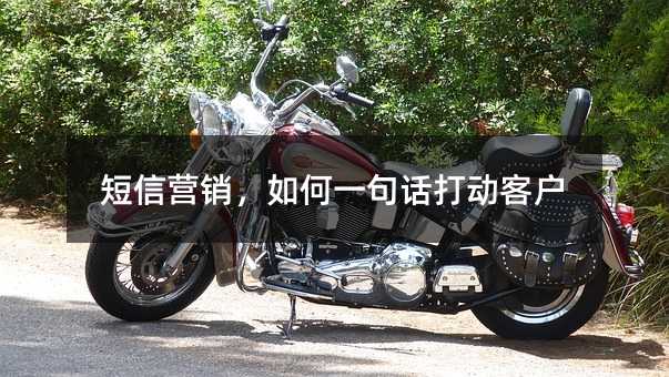 短信营销,如何一句话打动客户