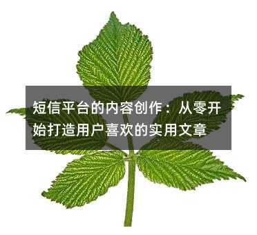 短信平台的内容创作:从零开始打造用户喜欢的实用文章