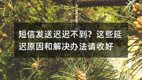 短信发送迟迟不到?这些延迟原因和解决办法请收好