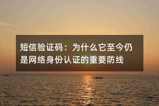 ������֤�룺Ϊʲô��������������������֤����Ҫ����