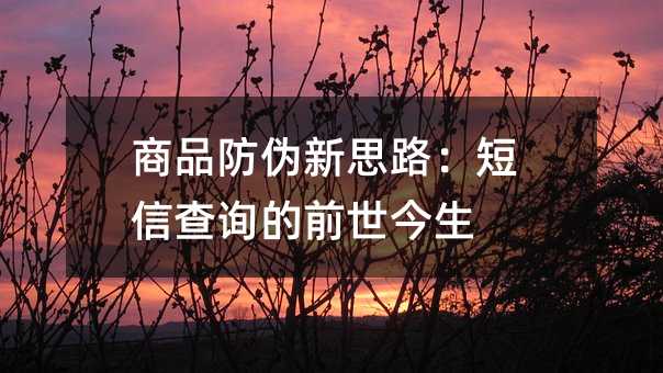 商品防伪新思路:短信查询的前世今生