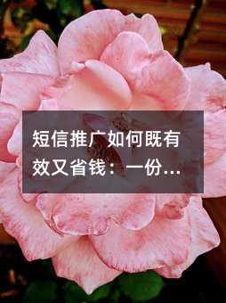 短信推广如何既有效又省钱:一份实用操作指南