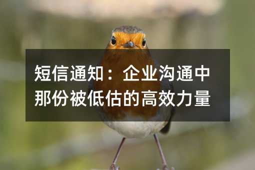 短信通知:企业沟通中那份被低估的高效力量