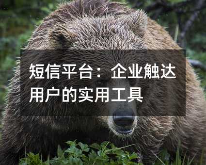 短信平台:企业触达用户的实用工具