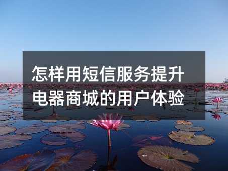 怎样用短信服务提升电器商城的用户体验