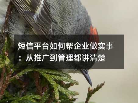 短信平台如何帮企业做实事:从推广到管理都讲清楚