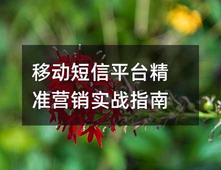 �ƶ�����ƽ̨��׼Ӫ��ʵսָ��