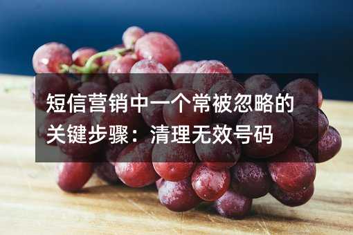 短信营销中一个常被忽略的关键步骤:清理无效号码