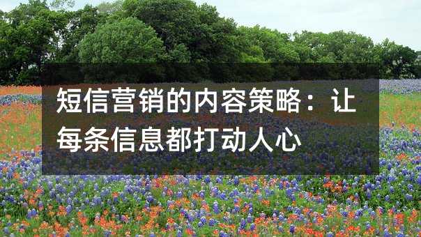 短信营销的内容策略:让每条信息都打动人心