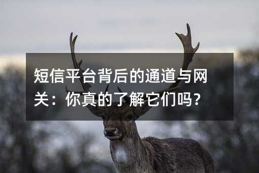短信平台背后的通道与网关:你真的了解它们吗?
