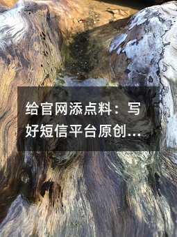 给官网添点料:写好短信平台原创文章的实用技巧