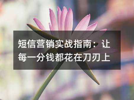 短信营销实战指南:让每一分钱都花在刀刃上