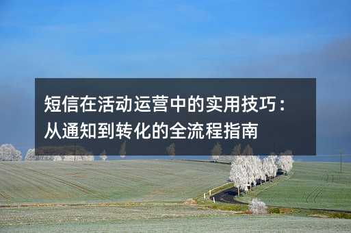 短信在活动运营中的实用技巧:从通知到转化的全流程指南