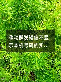 移动群发短信不显示本机号码的实现方法与注意事项