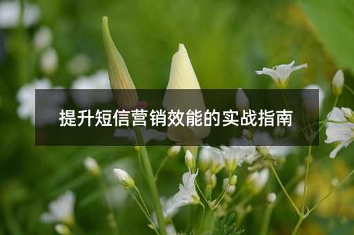 提升短信营销效能的实战指南