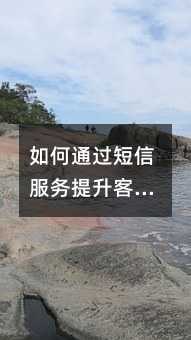 如何通过短信服务提升客户管理能力