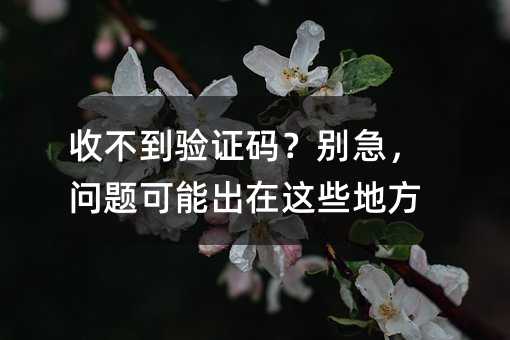 收不到验证码?别急,问题可能出在这些地方