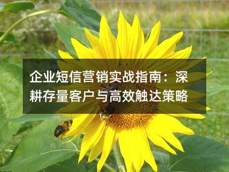 ��ҵ����Ӫ��ʵսָ�ϣ���������ͻ����Ч�������