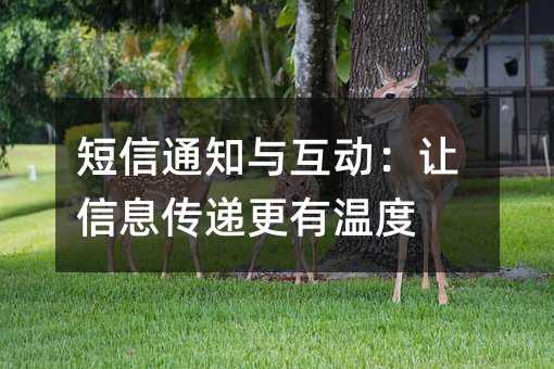 短信通知与互动:让信息传递更有温度