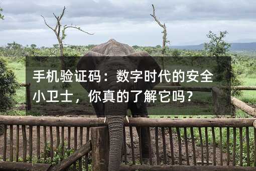 �ֻ���֤�룺����ʱ���İ�ȫС��ʿ��������˽�����