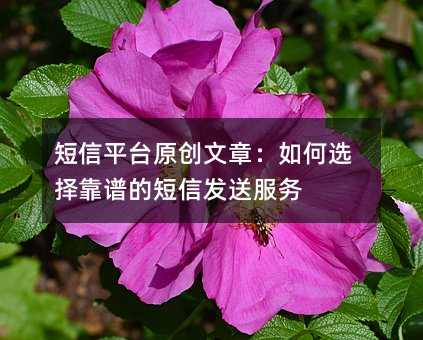 ����ƽ̨ԭ�����£����ѡ���׵Ķ��ŷ��ͷ���