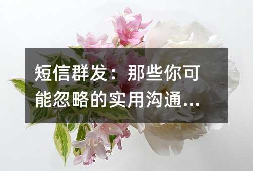 短信群发:那些你可能忽略的实用沟通技巧