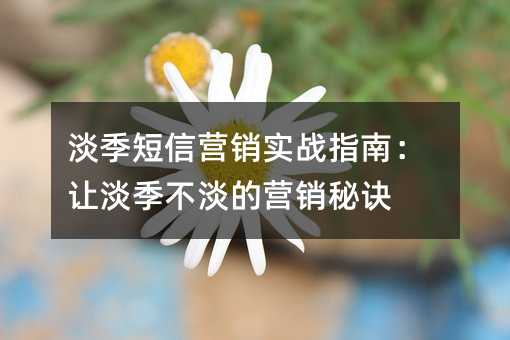 淡季短信营销实战指南:让淡季不淡的营销秘诀