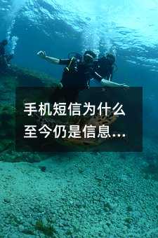 �ֻ�����Ϊʲô����������Ϣ���ݵ���Ҫ��ʽ