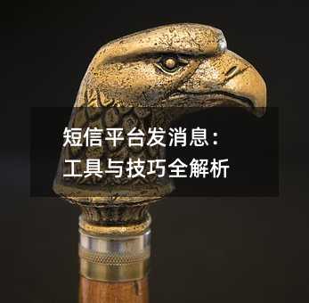 短信平台发消息:工具与技巧全解析