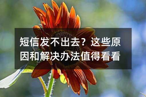 短信发不出去?这些原因和解决办法值得看看
