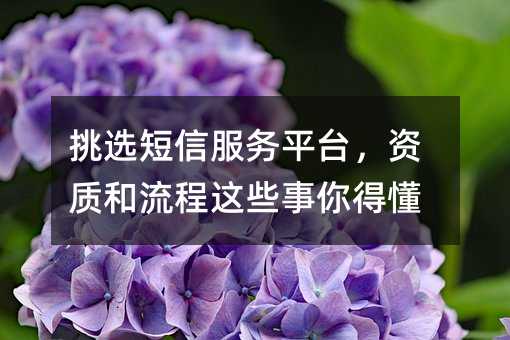 挑选短信服务平台,资质和流程这些事你得懂