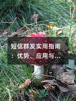 ����Ⱥ��ʵ��ָ�ϣ����ơ�Ӧ�������ʵ��