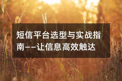 ����ƽ̨ѡ����ʵսָ�ϡ�������Ϣ��Ч����