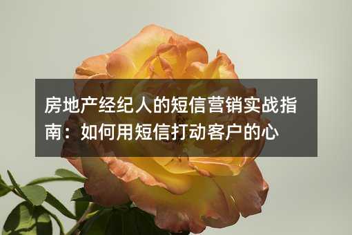 房地产经纪人的短信营销实战指南:如何用短信打动客户的心